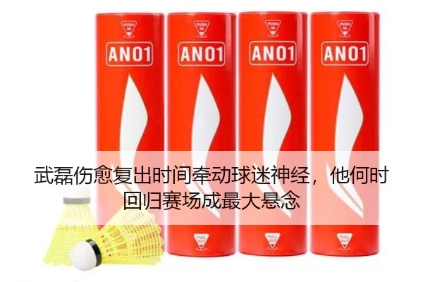 武磊伤愈复出时间牵动球迷神经，他何时回归赛场成最大悬念